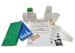 Innovating Science™ Fossils: How Do They Form?
